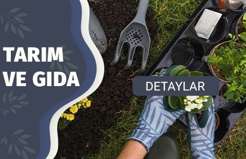 Bitki Koruma Ürünleri Ruhsatlandırma ve Danışmanlık