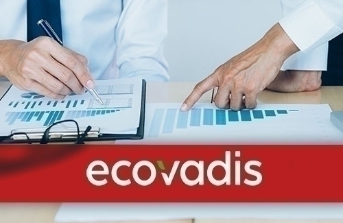 EcoVadis Derecelendirme Kategorileri