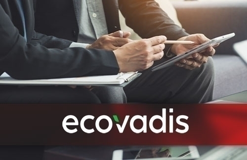 EcoVadisin Kurumsal Çözümleri