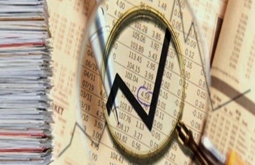 Finansal Denetim Nedir