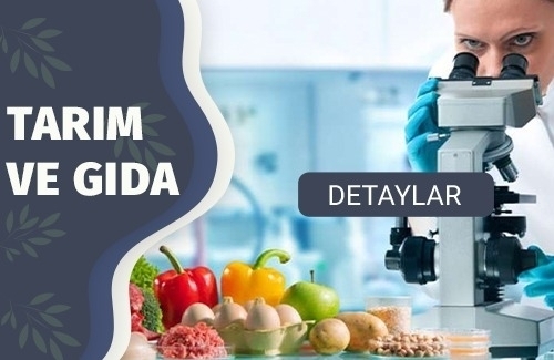 Gıda Sektörü Kalite Ve Gıda Güvenliği Sertifikaları