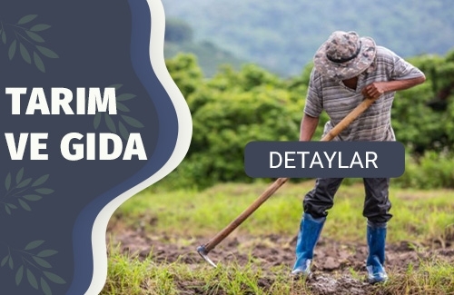 GLOBALGAP Belgesi