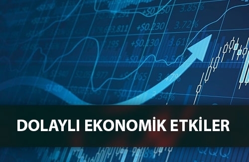 GRI 203: DOLAYLI EKONOMİK ETKİLER