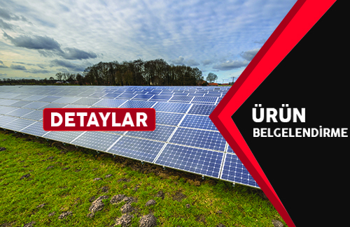 Güneş Belgesi