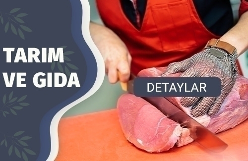 Helal Gıda Sertifikası