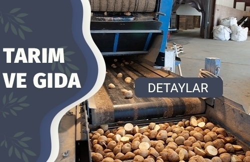IFS Belgesi