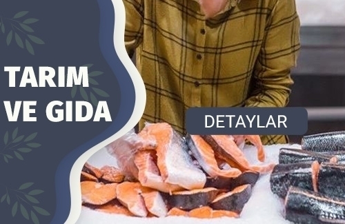 ISO TC 234 Balıkçılık ve Su Ürünleri Agriculture Belgesi