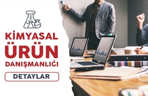 KKDİK Tek Temsilci Hizmeti