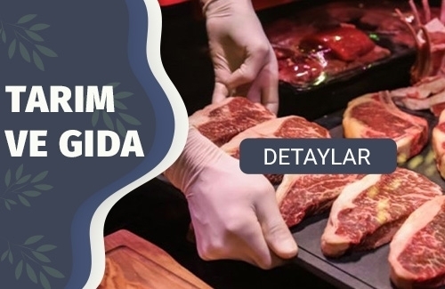 Koşer Belgesi