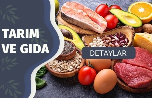Organik Gıda Belgesi