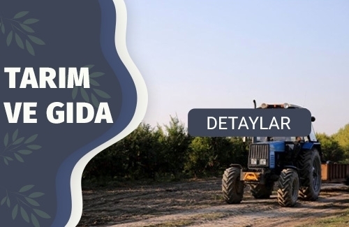Organik Tarım Belgesi
