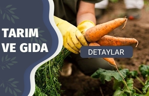 Sebze ve Meyve Üretiminde Gıda Güvenliği Yönetim Sistemi