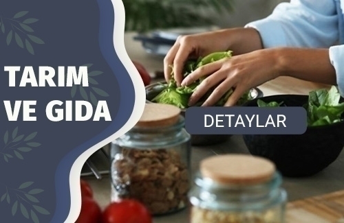Vegan Belgesi
