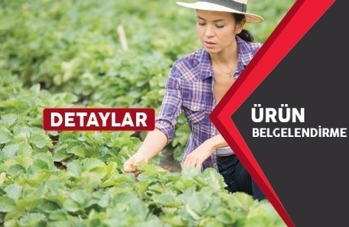 Yerli Malı Belgesi